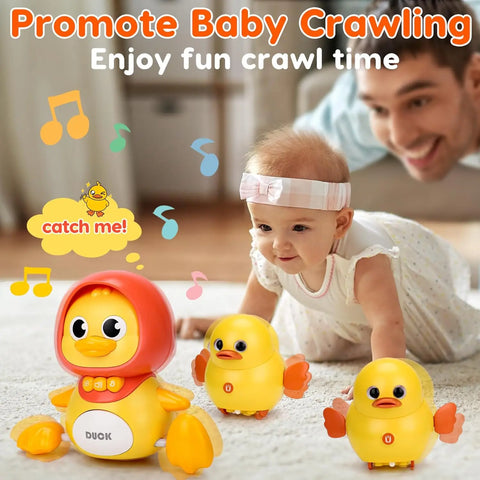 Duck Toy