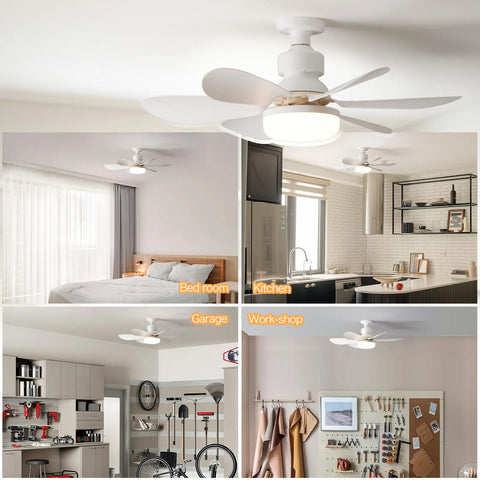 2-In-1 Ceiling Fan Lights