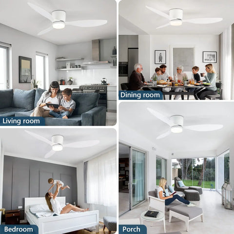 Modern Ceiling Fan with LED Light