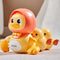 Duck Toy