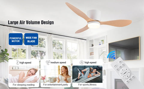Modern Ceiling Fan with LED Light