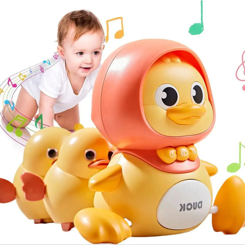 Duck Toy