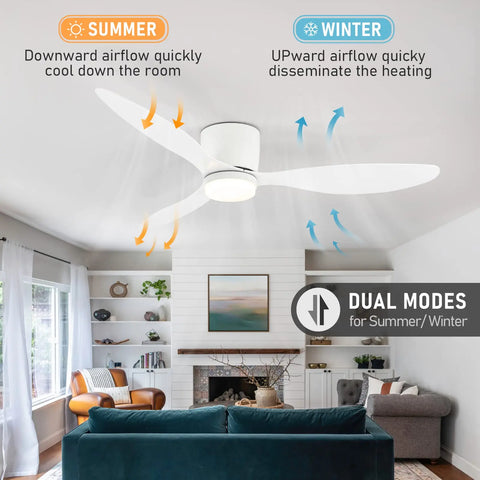 Modern Ceiling Fan with LED Light
