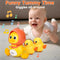 Duck Toy