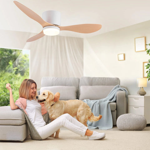 Modern Ceiling Fan with LED Light