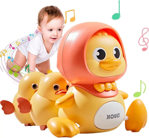 Duck Toy