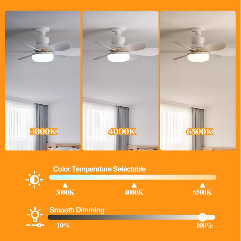 2-In-1 Ceiling Fan Lights