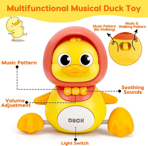 Duck Toy