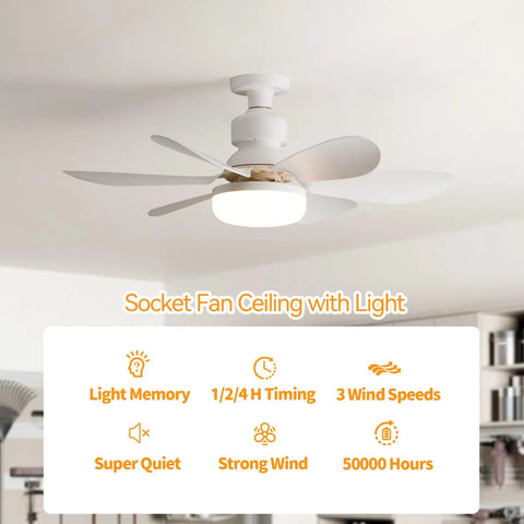 2-In-1 Ceiling Fan Lights