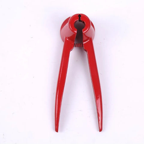 Nut Cracker