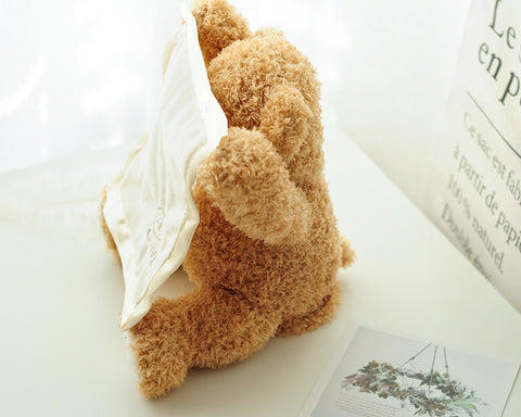 Peek-a-boo Teddy Bear