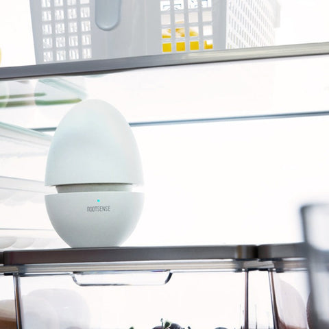 Egg Fridge Deodorizer