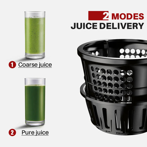 Slow Cold Press Juicer