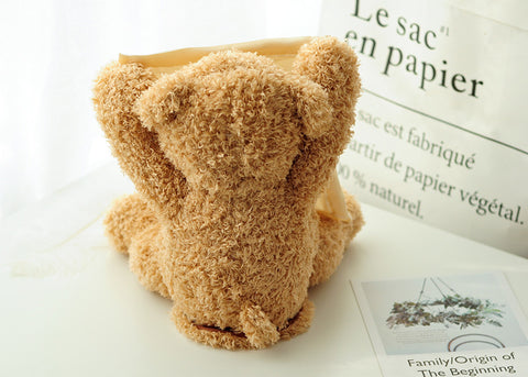 Peek-a-boo Teddy Bear