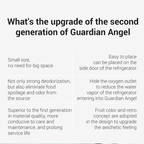 Egg Fridge Deodorizer