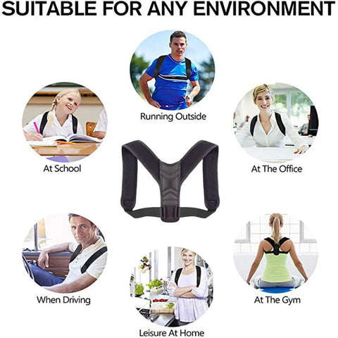 Back Belt Support