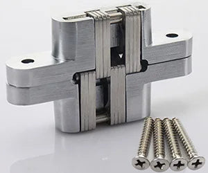 InviFlexi Door Hinges