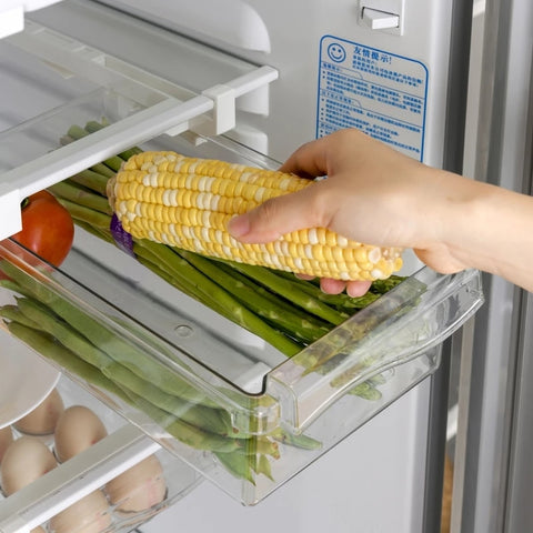 Egg Fruit Vegetable Fridge Organizer