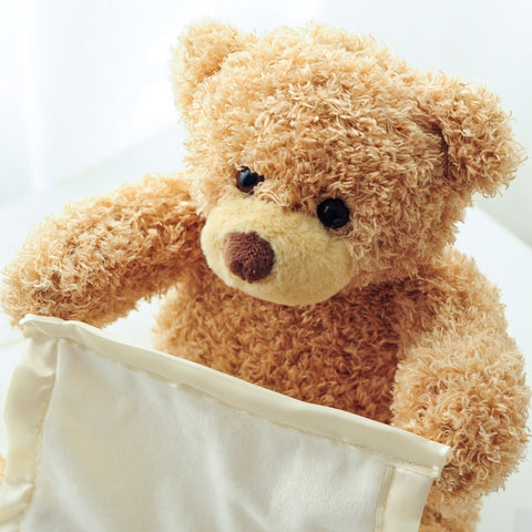 Peek-a-boo Teddy Bear