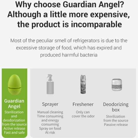 Egg Fridge Deodorizer