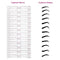 12 Styles/Set Reusable Eyebrow Stencils