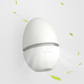 Egg Fridge Deodorizer