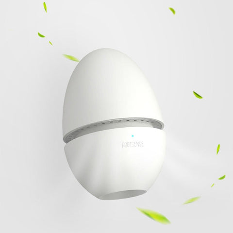 Egg Fridge Deodorizer