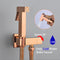 Handheld Toilet Bidet Hygienic Shower Sprayer