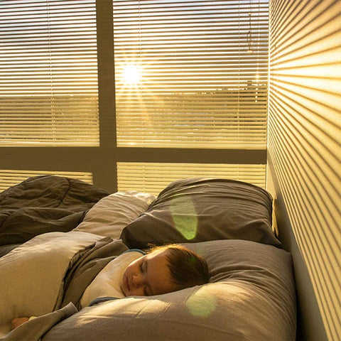 Privacy Window Film