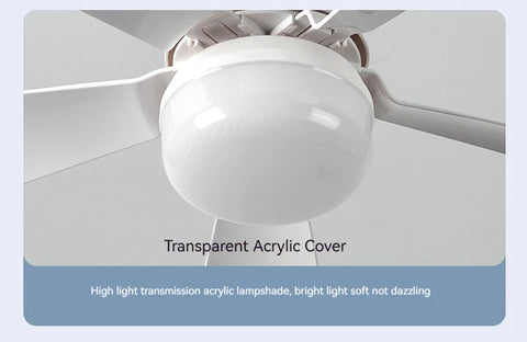 Ceiling Fan LED Light