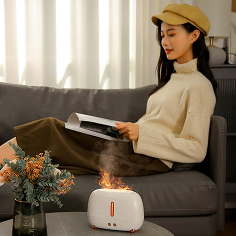 Aroma Diffuser Air Humidifier