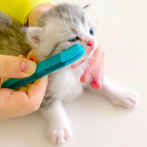 EcoKitty TearBrush