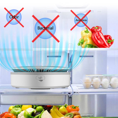 Fridge Ozone Sterilizer Air Purifier