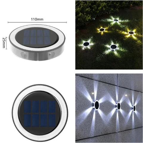 RayGuard Induction Light