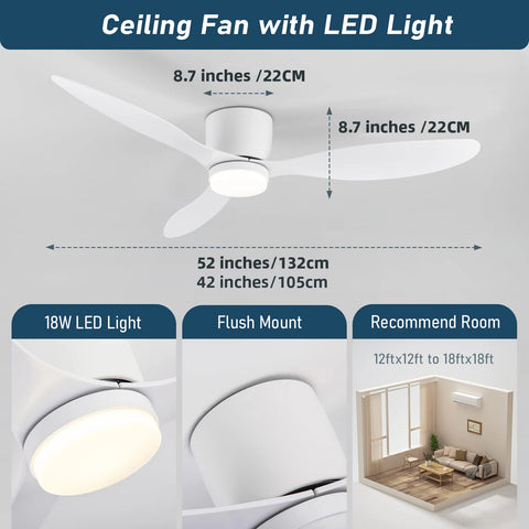 Modern Ceiling Fan with LED Light