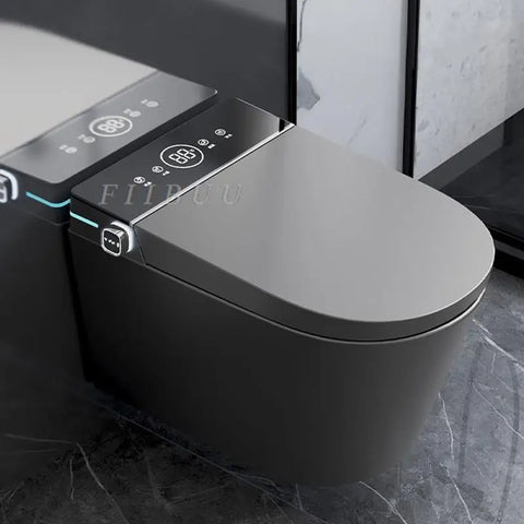Luxury Smart Toilet