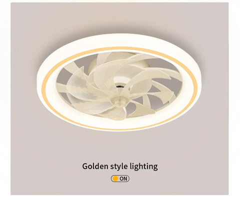 New Ceiling Fan Light