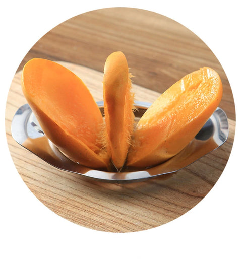 Mango Slicer Corer