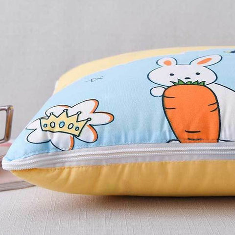 2 In 1 Blanket Pillow