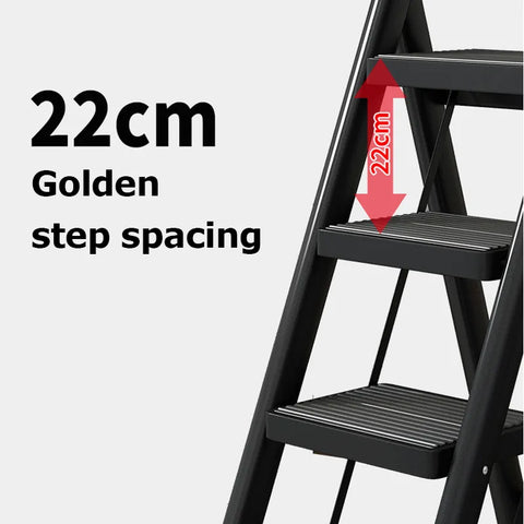 Folding Ladder