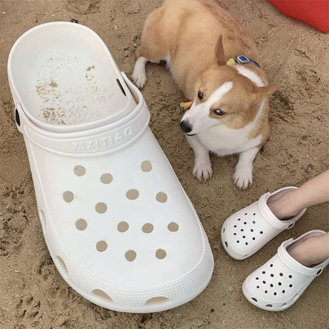 Giant Crocs