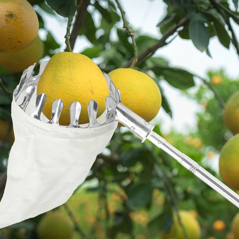 Fruit Picker Tool