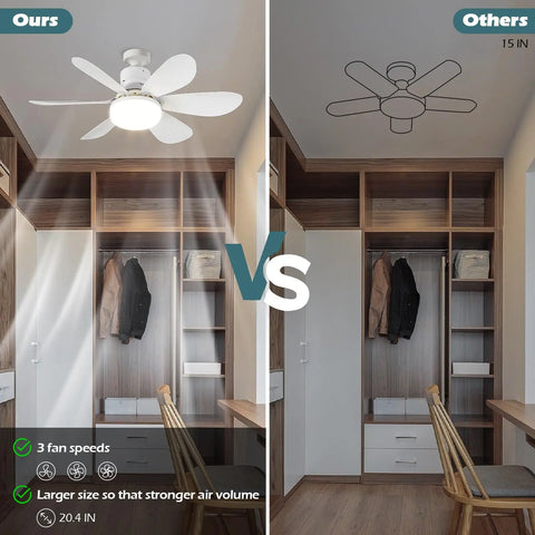 2-In-1 Ceiling Fan Lights
