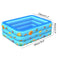 Inflatable Swimming Pool