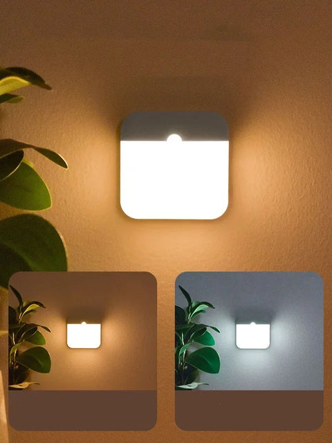 Motion Sensor Light