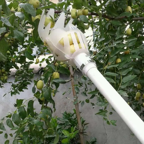 Fruit Picker Basket