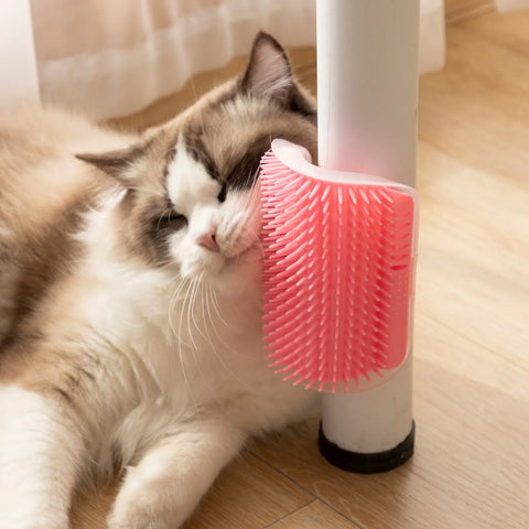 Cat Brush