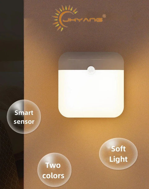 Motion Sensor Light