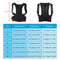 Back Support Brace