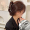 20 Styles Fish Tail Hair Claw